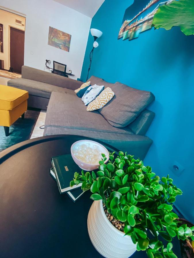 Apartment One Braşov Extérieur photo